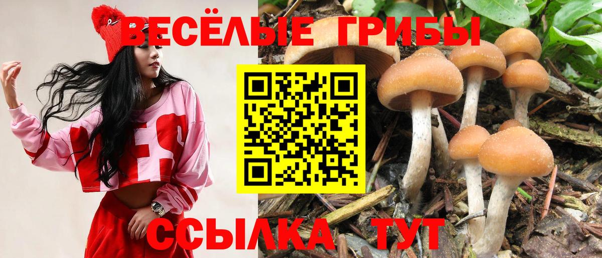 Псилоцибиновые грибы Magic Shrooms  Вход с VPN  где можно купить   Альметьевск  Галлюциногенные грибы мицелий 