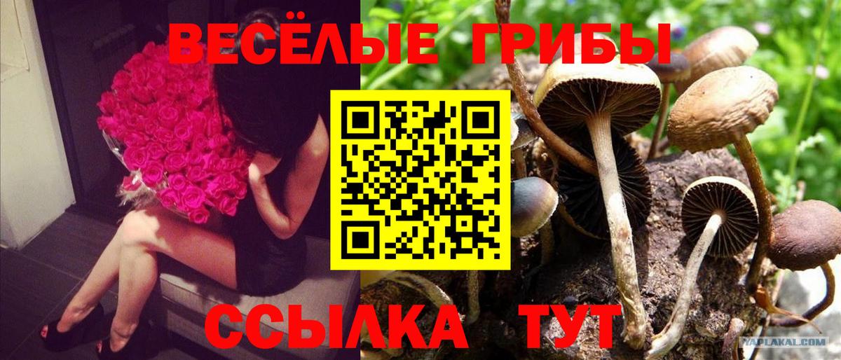 Галлюциногенные грибы прущие грибы Альметьевск